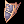 Ashion's Order