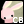 Chubby Bunnehs Chubby Bunnehs